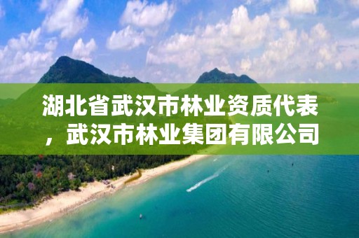 湖北省武汉市林业资质代表，武汉市林业集团有限公司