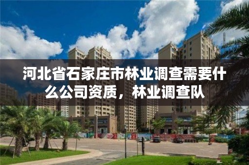 河北省石家庄市林业调查需要什么公司资质，林业调查队