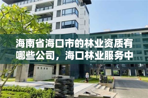 海南省海口市的林业资质有哪些公司，海口林业服务中心