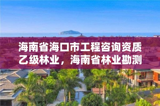 海南省海口市工程咨询资质乙级林业，海南省林业勘测设计院