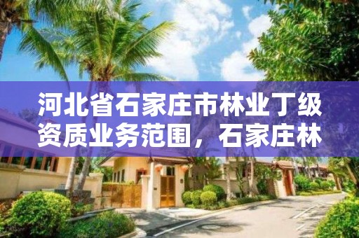 河北省石家庄市林业丁级资质业务范围，石家庄林业厅