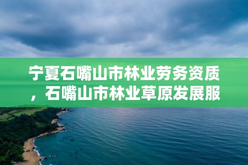 宁夏石嘴山市林业劳务资质，石嘴山市林业草原发展服务中心主任