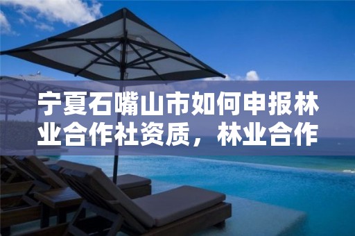 宁夏石嘴山市如何申报林业合作社资质，林业合作社怎么申请