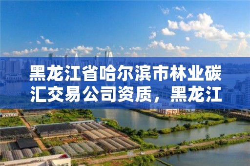 黑龙江省哈尔滨市林业碳汇交易公司资质，黑龙江省林业碳汇经济发展规划