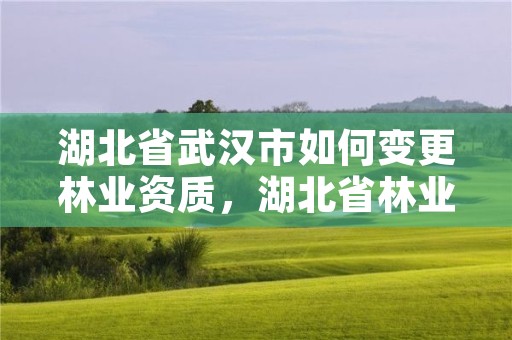 湖北省武汉市如何变更林业资质，湖北省林业管理办法无效