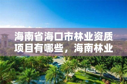 海南省海口市林业资质项目有哪些，海南林业公司