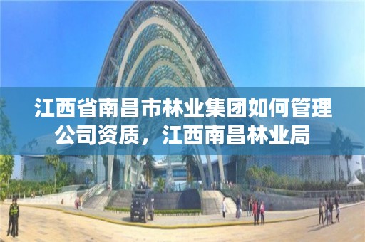 江西省南昌市林业集团如何管理公司资质，江西南昌林业局