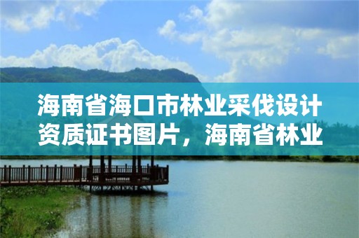 海南省海口市林业采伐设计资质证书图片，海南省林业局木材管理局