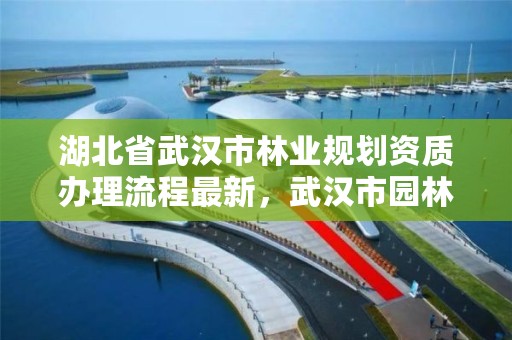 湖北省武汉市林业规划资质办理流程最新，武汉市园林和林业局规划建设处