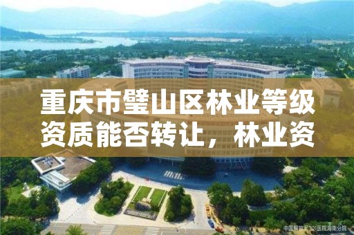 重庆市璧山区林业等级资质能否转让，林业资质管理办法