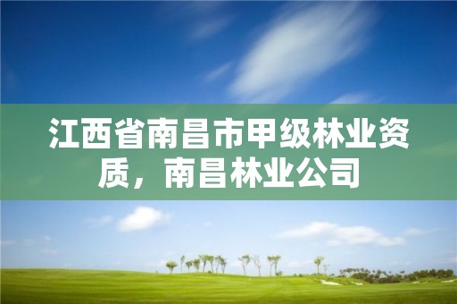 江西省南昌市甲级林业资质，南昌林业公司