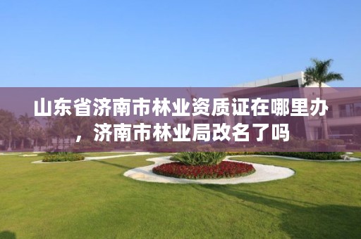 山东省济南市林业资质证在哪里办，济南市林业局改名了吗