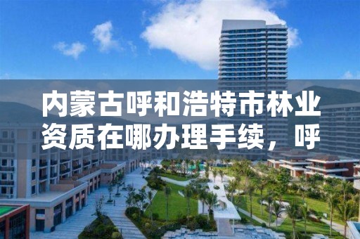 内蒙古呼和浩特市林业资质在哪办理手续，呼和浩特市林业和草原局官网