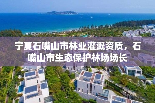 宁夏石嘴山市林业灌溉资质，石嘴山市生态保护林场场长