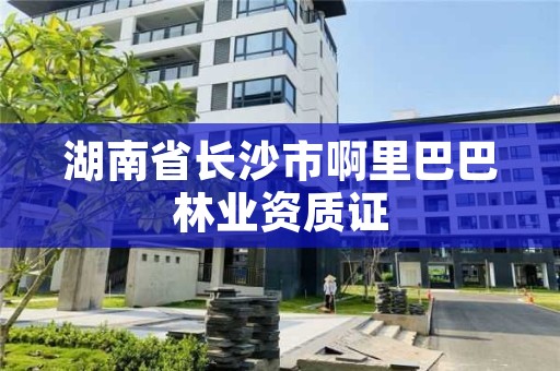 湖南省长沙市啊里巴巴林业资质证