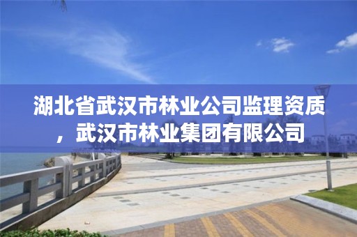 湖北省武汉市林业公司监理资质，武汉市林业集团有限公司