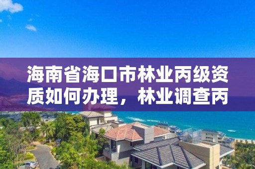 海南省海口市林业丙级资质如何办理，林业调查丙级资质转让