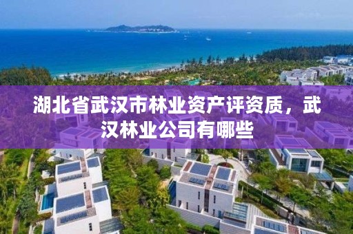 湖北省武汉市林业资产评资质，武汉林业公司有哪些