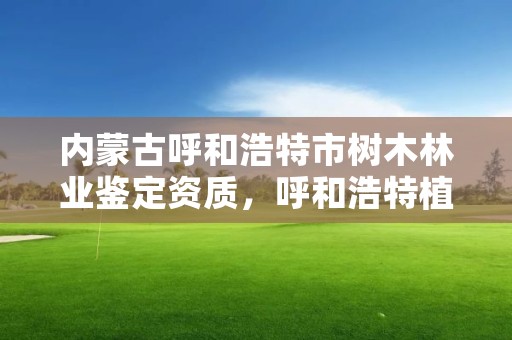 内蒙古呼和浩特市树木林业鉴定资质，呼和浩特植树造林