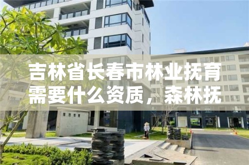 吉林省长春市林业抚育需要什么资质，森林抚育补植要求