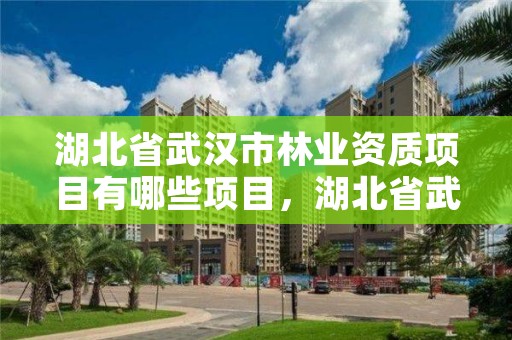 湖北省武汉市林业资质项目有哪些项目，湖北省武汉市林业资质项目有哪些项目呢