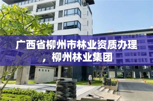 广西省柳州市林业资质办理，柳州林业集团