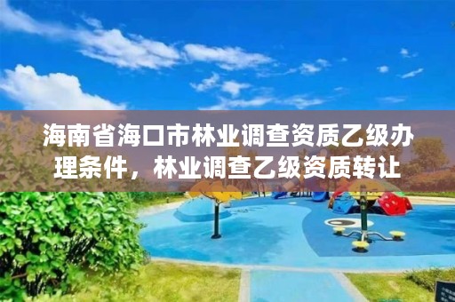 海南省海口市林业调查资质乙级办理条件，林业调查乙级资质转让