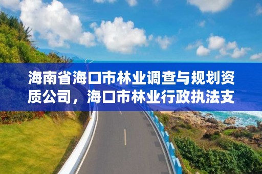 海南省海口市林业调查与规划资质公司，海口市林业行政执法支队