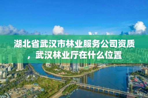 湖北省武汉市林业服务公司资质，武汉林业厅在什么位置