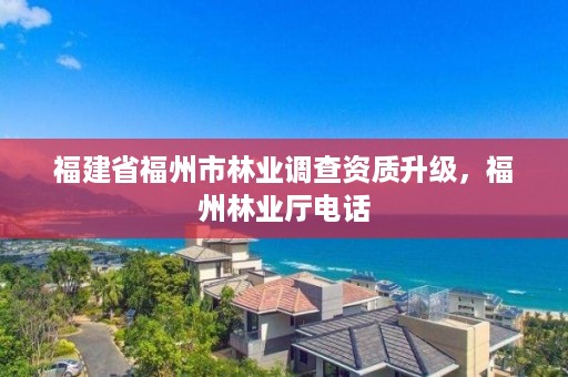 福建省福州市林业调查资质升级，福州林业厅电话