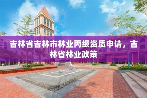 吉林省吉林市林业丙级资质申请，吉林省林业政策