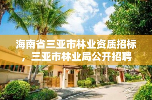 海南省三亚市林业资质招标，三亚市林业局公开招聘