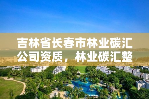 吉林省长春市林业碳汇公司资质，林业碳汇整合碳资管上市公司