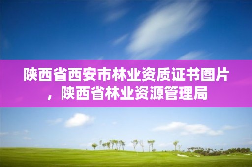 陕西省西安市林业资质证书图片，陕西省林业资源管理局