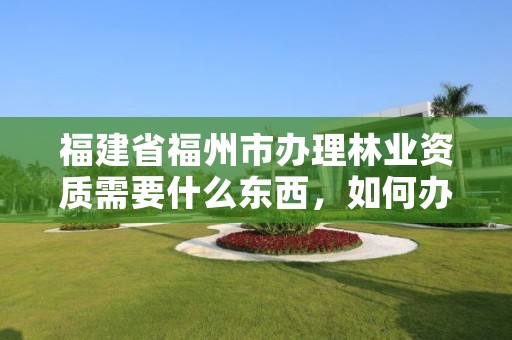 福建省福州市办理林业资质需要什么东西，如何办理林业许可证