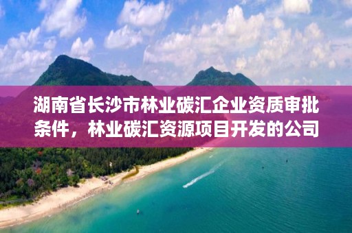 湖南省长沙市林业碳汇企业资质审批条件，林业碳汇资源项目开发的公司