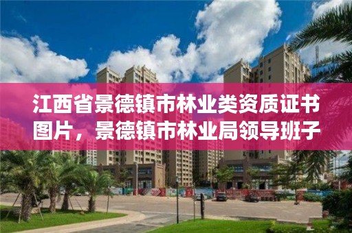 江西省景德镇市林业类资质证书图片，景德镇市林业局领导班子成员