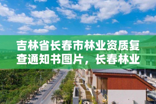 吉林省长春市林业资质复查通知书图片，长春林业厅