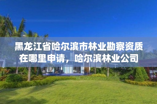 黑龙江省哈尔滨市林业勘察资质在哪里申请，哈尔滨林业公司