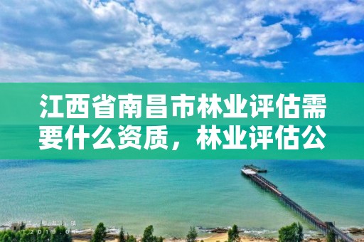 江西省南昌市林业评估需要什么资质，林业评估公司成立有条件