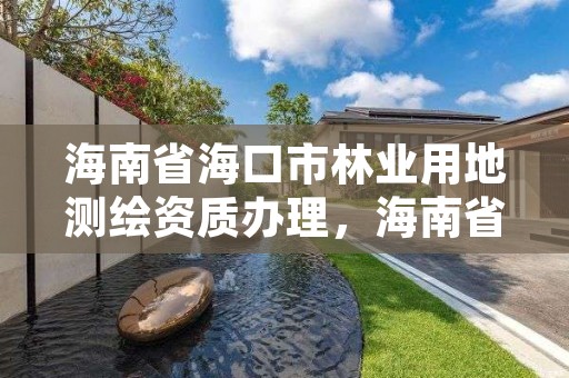 海南省海口市林业用地测绘资质办理，海南省海口市林业用地测绘资质办理流程