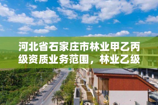 河北省石家庄市林业甲乙丙级资质业务范围，林业乙级资质办理条件