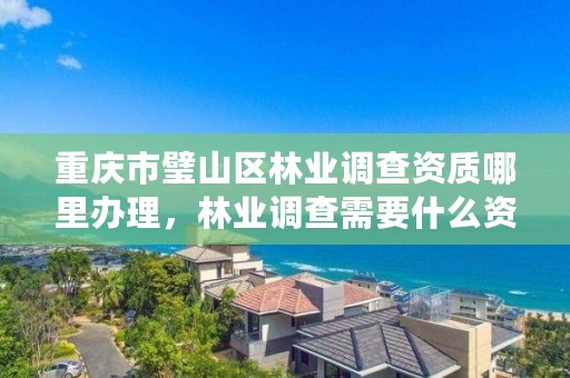 重庆市璧山区林业调查资质哪里办理，林业调查需要什么资质