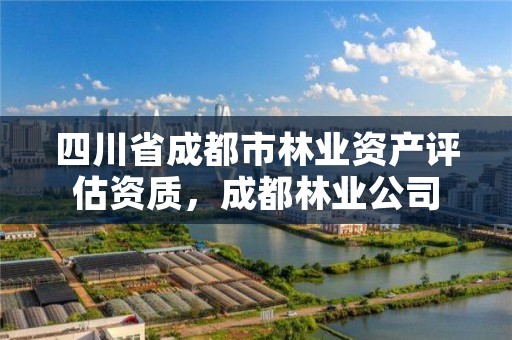 四川省成都市林业资产评估资质，成都林业公司