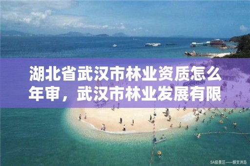 湖北省武汉市林业资质怎么年审，武汉市林业发展有限责任公司