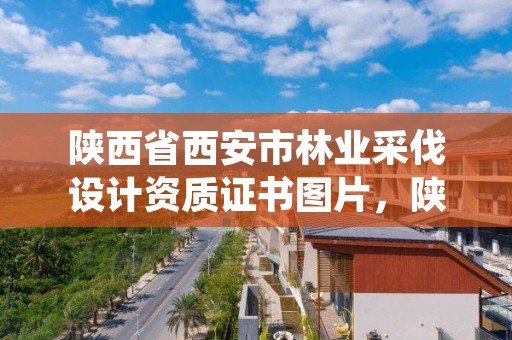 陕西省西安市林业采伐设计资质证书图片，陕西省西安市林业厅