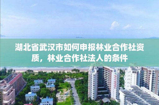 湖北省武汉市如何申报林业合作社资质，林业合作社法人的条件