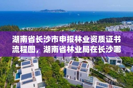 湖南省长沙市申报林业资质证书流程图，湖南省林业局在长沙哪个区