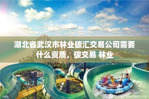 湖北省武汉市林业碳汇交易公司需要什么资质，碳交易 林业