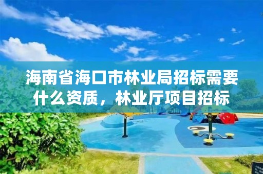 海南省海口市林业局招标需要什么资质，林业厅项目招标